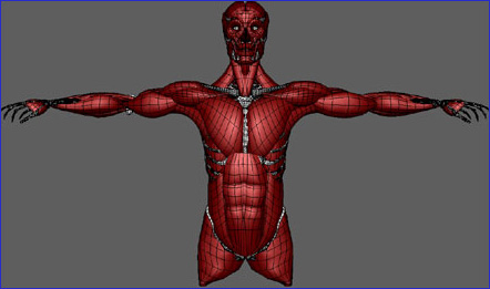 Syflex_Skin01_Muscles